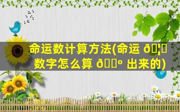 命运数计算方法(命运 🦅 数字怎么算 🌺 出来的)